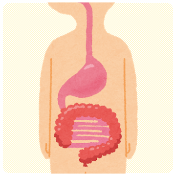胃腸内科について